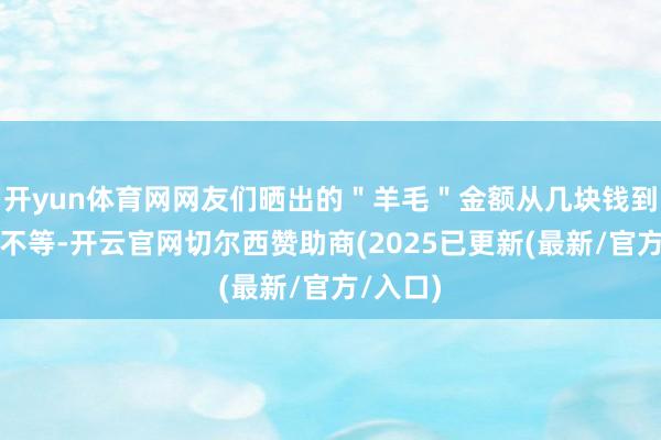 开yun体育网网友们晒出的＂羊毛＂金额从几块钱到上千元不等-开云官网切尔西赞助商(2025已更新(最新/官方/入口)