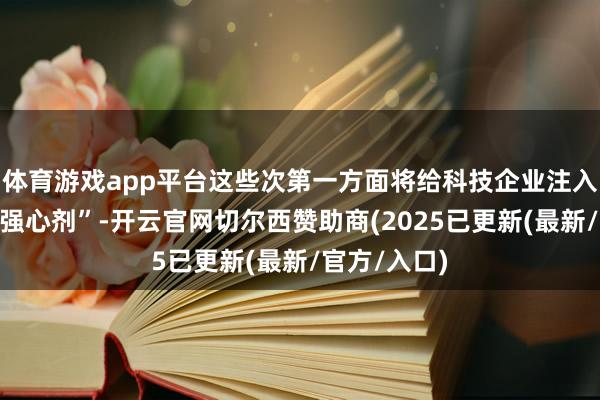 体育游戏app平台这些次第一方面将给科技企业注入一针针的“强心剂”-开云官网切尔西赞助商(2025已更新(最新/官方/入口)