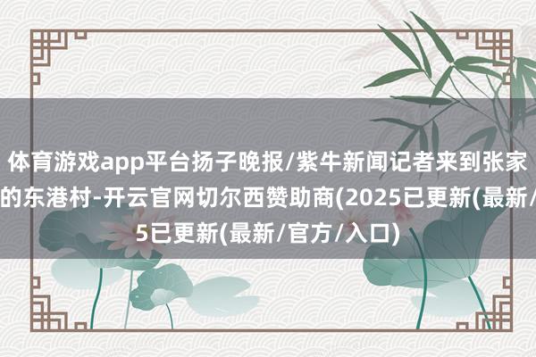 体育游戏app平台扬子晚报/紫牛新闻记者来到张家港市南丰镇的东港村-开云官网切尔西赞助商(2025已更新(最新/官方/入口)