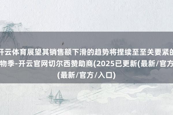 开云体育展望其销售额下滑的趋势将捏续至至关要紧的沐日购物季-开云官网切尔西赞助商(2025已更新(最新/官方/入口)