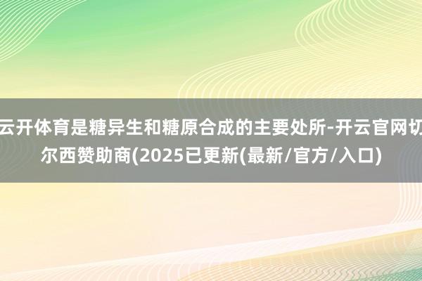云开体育是糖异生和糖原合成的主要处所-开云官网切尔西赞助商(2025已更新(最新/官方/入口)
