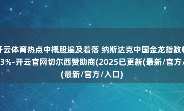 开云体育热点中概股遍及着落 纳斯达克中国金龙指数收跌0.93%-开云官网切尔西赞助商(2025已更新(最新/官方/入口)