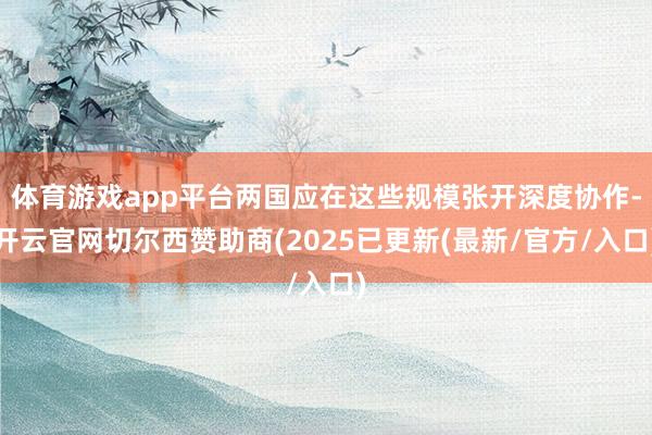 体育游戏app平台两国应在这些规模张开深度协作-开云官网切尔西赞助商(2025已更新(最新/官方/入口)