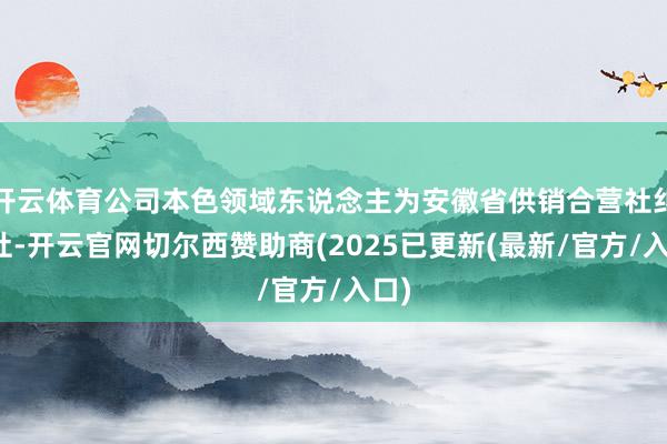 开云体育公司本色领域东说念主为安徽省供销合营社纠合社-开云官网切尔西赞助商(2025已更新(最新/官方/入口)